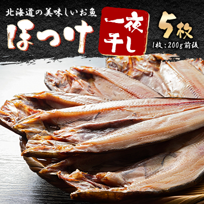 北海道の美味しいお魚　ほっけ一夜干し5枚_00444【配送不可地域：離島】【1154978】