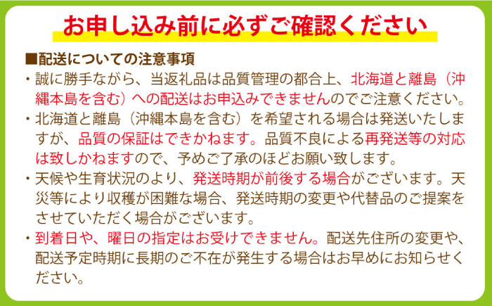 【2026年8月中旬～発送】【数量限定】シャインマスカット 2kg（3房～5房）/ マスカット ますかっと ぶどう 葡萄 ブドウ フルーツ 果物 / 南島原市 / 長崎県農産品流通合同会社 [SCB0