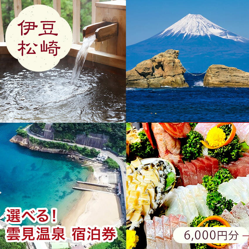 【ふるさと納税】雲見温泉宿泊利用感謝券A 宿泊 宿泊券 旅館 民宿 ホテル ログハウス 温泉 旅行 旅行券 観光 トラベル チケット