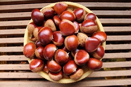 低温熟成 丹波くり 3Lサイズ 1kg ≪ 数量限定 ≫( 500g×2袋 ) 京丹波町産 国産 京都 丹波 和栗 熟成 栗 くり 甘い 栗ごはん 秋の味覚 ※北海道・沖縄・その他離島への配送不可 [