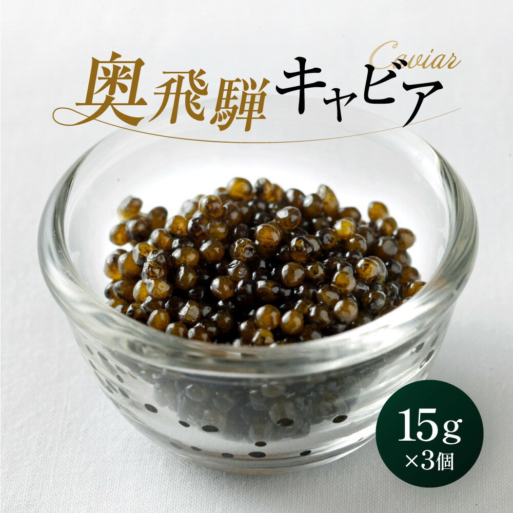 【ふるさと納税】奥飛騨キャビア15g×3個｜焼岳すっぽん 奥飛騨 贈答用 魚卵 日本産 グルメ 高山市 HE002