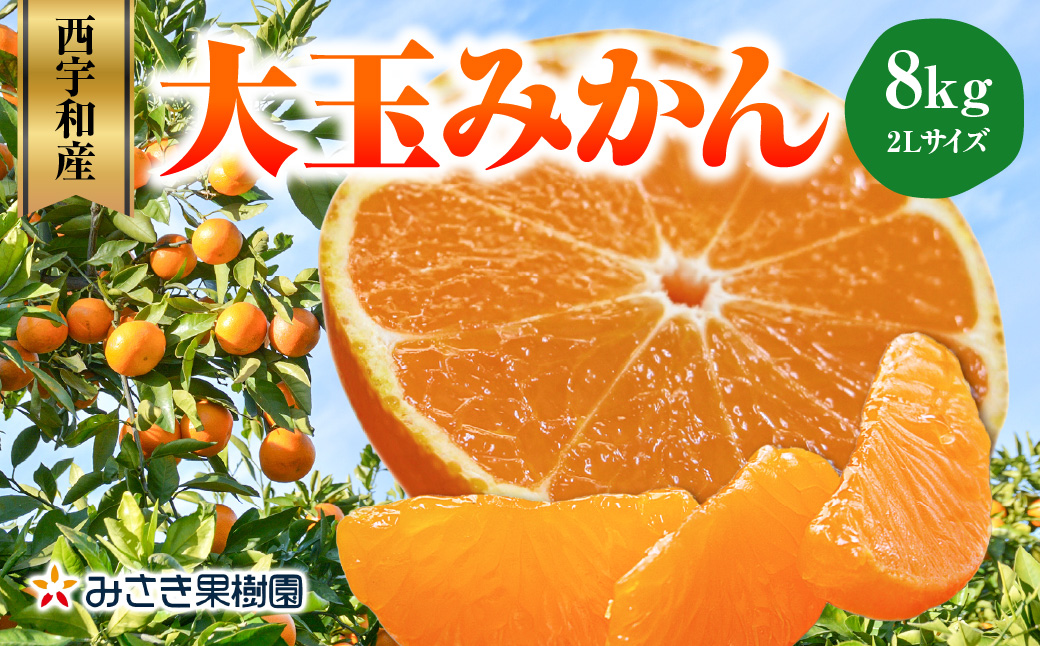 【先行受付】西宇和産大玉みかん2Lサイズ8kg【C21-40】YWTBC021