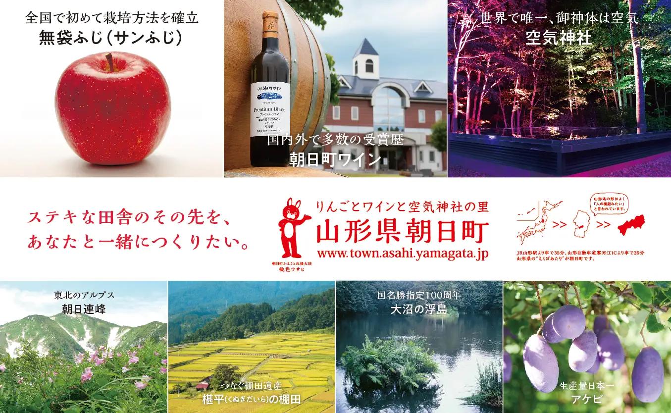 りんご 【 ご家庭用 訳あり 】 ふじりんご 10kg 【11月中旬～12月中旬発送】サンふじ ふじ リンゴ 林檎 山形県  朝日町産 山形県産 特産 果物 フルーツ リンゴ 林檎 秋 冬 送料無料 