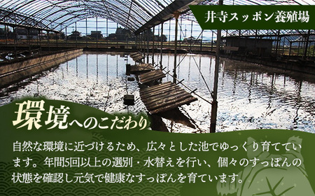 美味益気寿すっぽんスープ190g【90缶】 スッポン 化学調味料不使用 使いやすい ストック 岩手県 岩手町 イワタニ