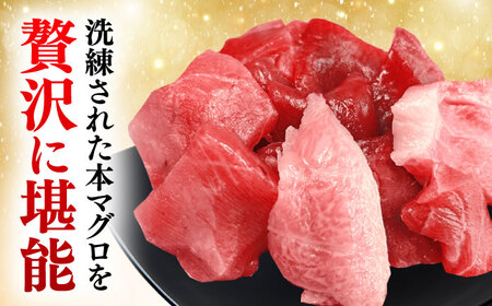 訳あり！対馬産 本マグロ 切り落とし 350g（5パック） トロの華 小分け マグロ[WAQ019]