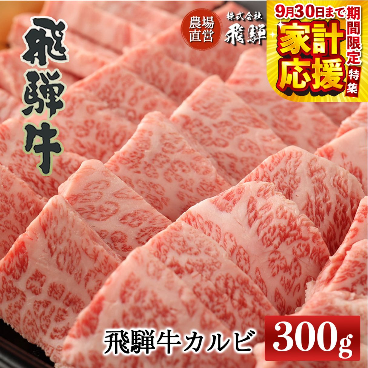 【ふるさと納税】【家計応援】飛騨牛 カルビ300g 【冷凍】飛騨牛 焼肉 焼き肉 下呂温泉 オススメ 国産 和牛 牛肉 肉 和牛 赤身 人気 ブランド牛 焼肉用 カルビ アウトドア バーベキュー BBQ 飛騨萩原畜産 ギフト 贈答 贈り物 新生活 17000円 岐阜県 下呂市