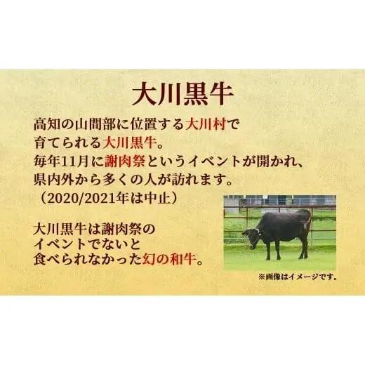 【 黒毛和牛 】 黒毛和牛サーロインステーキ400g （200gx2枚）