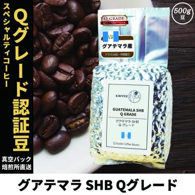 ふるさと納税 尼崎市 コーヒー豆 スペシャリティ Qグレード認証豆 グアテマラ SHB 中深煎り 500g