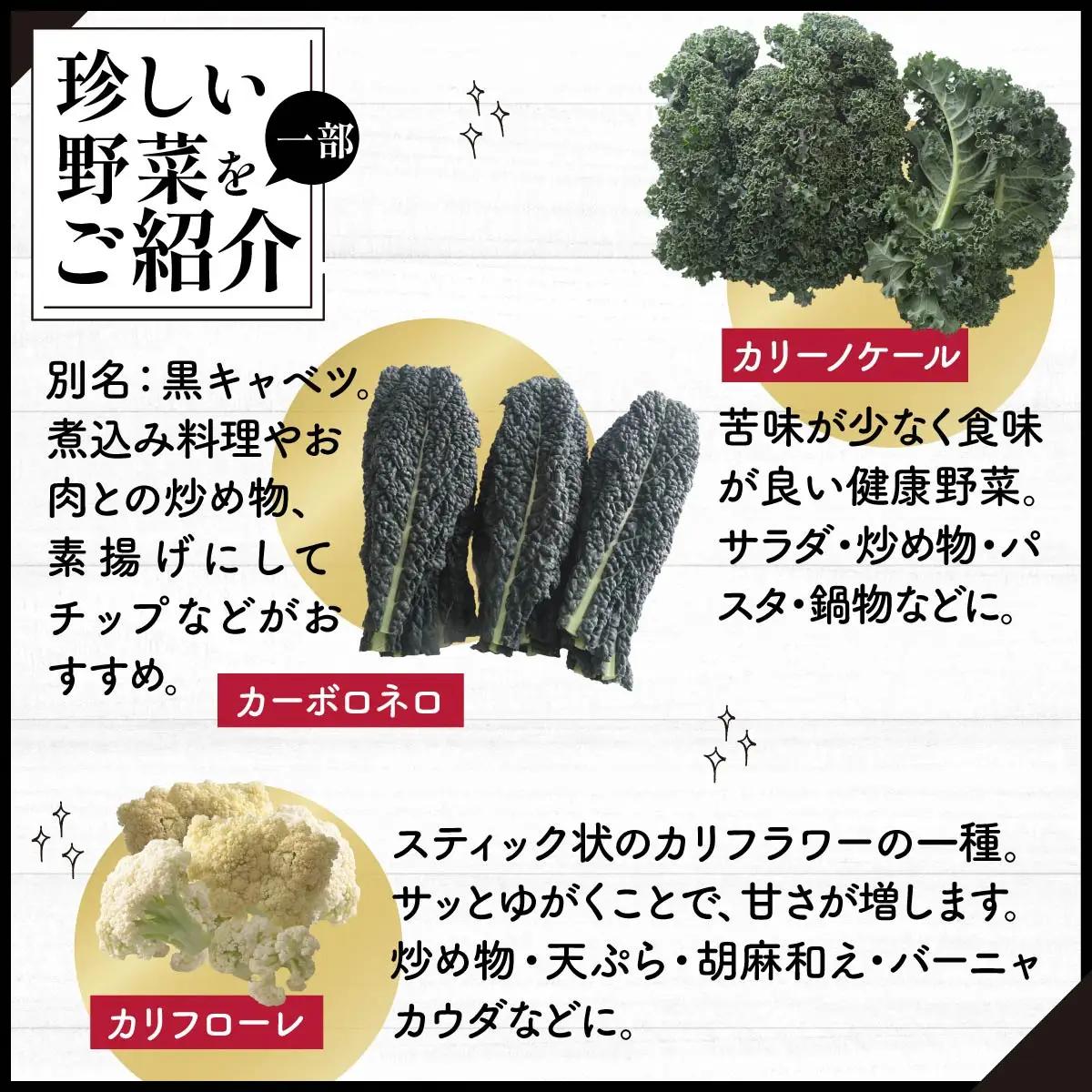 西洋野菜 一般野菜 旬野菜セット 8～10品 定期便 3ヶ月 | やさい