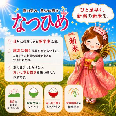 ふるさと納税 糸魚川市 【令和8年産】新潟県糸魚川市能生谷産 なつひめ 　精米　5kg 新潟の新品種 |  | 01
