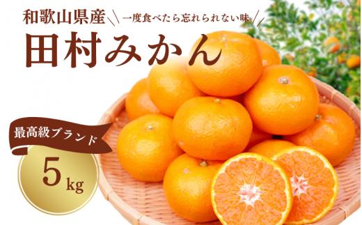 高級ブランド田村みかん 5kg ※2026年11月下旬頃〜2027年1月下旬頃に順次発送予定(お届け日指定不可) / 果物 フルーツ くだもの みかん 【uot504A】