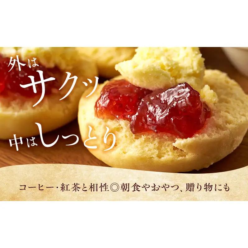 スコーン 詰め合わせ 6個セット 3種類 カシューナッツ レーズン ココア＆チョコ 手作り 焼き菓子