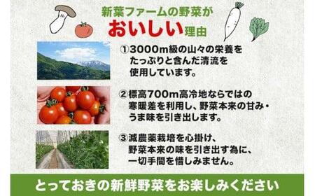 【先行予約】 スナップエンドウ 560g 春 | 春 FN-Limited-PR