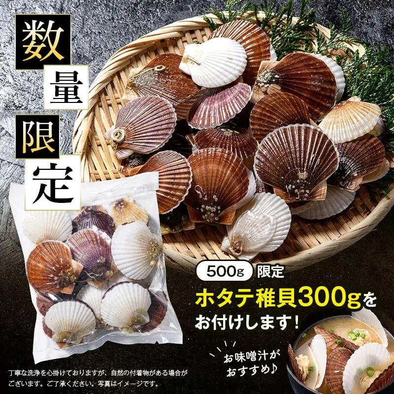 【バリュー品】ホタテフレーク貝柱500g＋ ホタテ稚貝300gセット 北海道産 不選別 訳あり mr1-1257