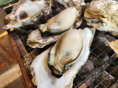 飛田水産　石川県七尾産　能登かき　殻付き3分缶｜牡蠣　専用ナイフ 牡蠣 かき カキ 能登の里山里海 石川県七尾市 能登半島　※要加熱 ※2026年1月上旬～5月下旬頃に順次発送予定 ※北海道・沖縄・離