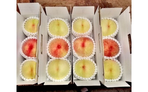 お土産あり！3個入り1箱をおひとりずつにお渡しします。
