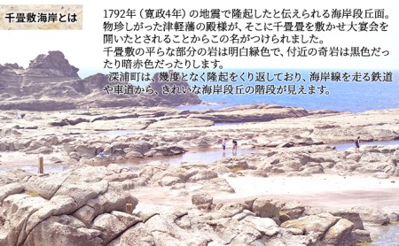 【青森県深浦町】千畳敷センターで使える商品券　9，000円分