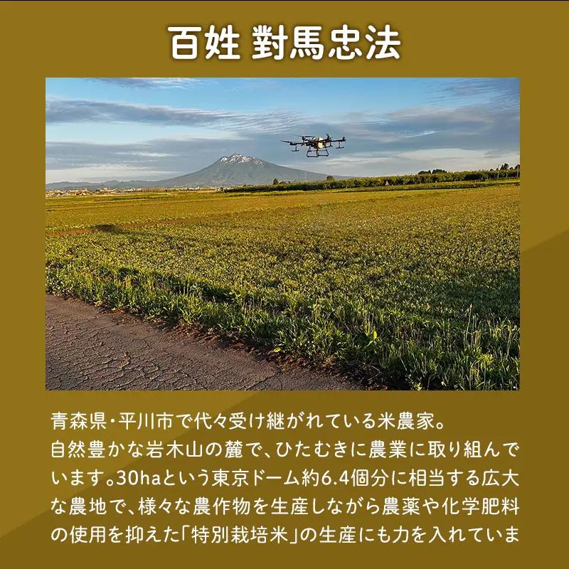 ≪令和8年産 先行予約≫まっしぐら10kg(玄米)【hi-0062-014-2】