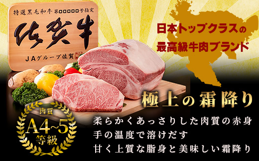 V-8  【熟成肉『極み』コース】佐賀牛 ロースステーキ＆すきやき肉