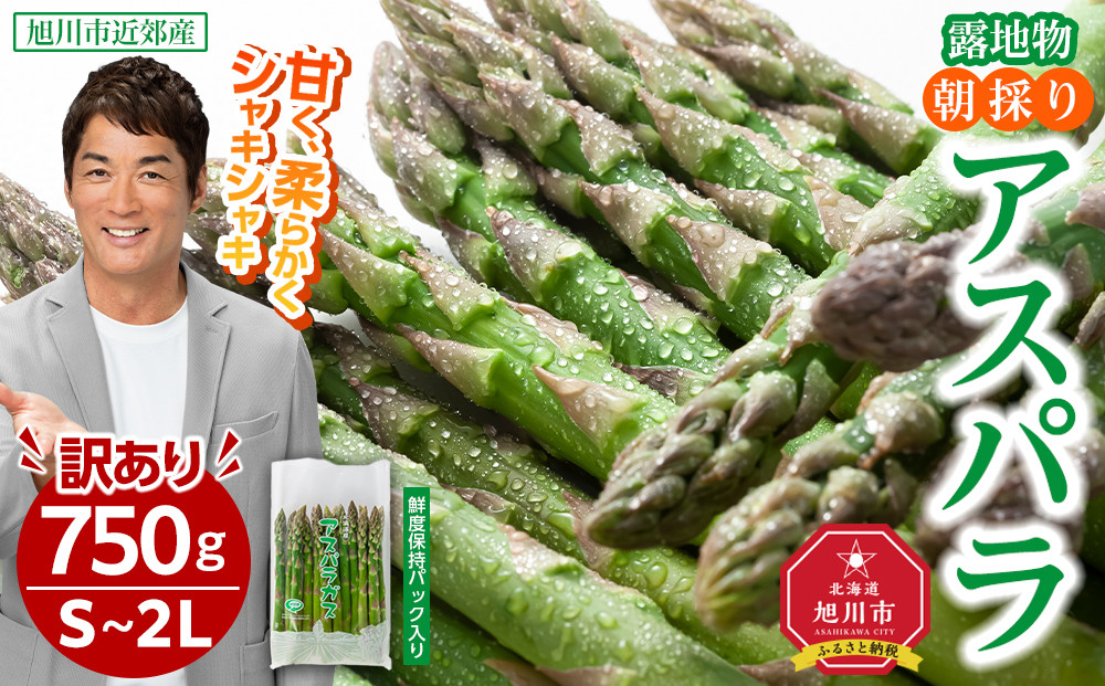 ◆2026年先行予約◆【訳あり】露地物朝採りアスパラ 750g×1 　鮮度保持フィルム入り(5月中旬発送開始予定) 【 アスパラ アスパラガス 朝採り とれたて 野菜 旬 小分け 保存 産直 産地直送 お取り寄せ 旭川市 北海道 】_04751