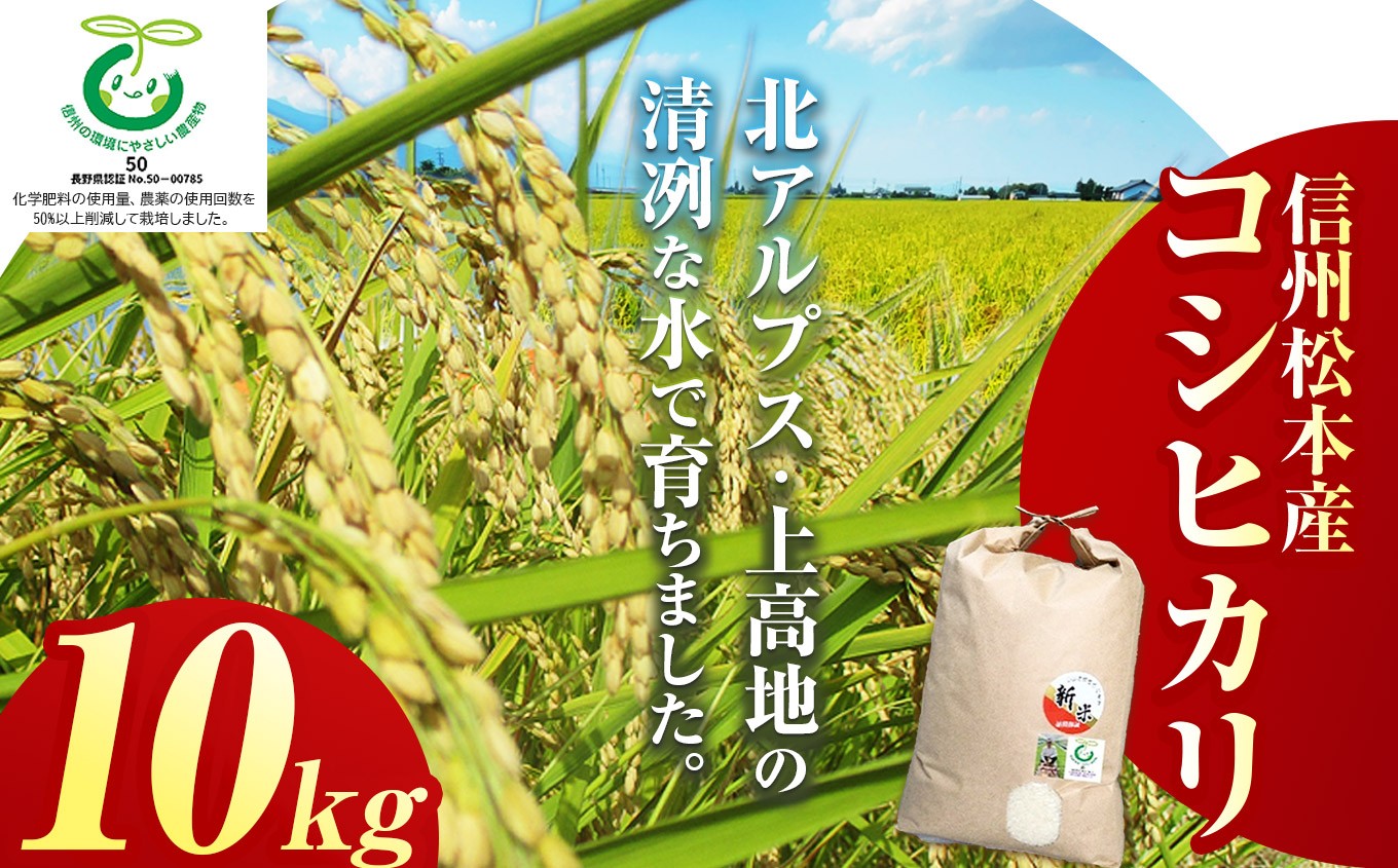 
            新米 令和7年産  信州松本産コシヒカリ 10kg │信州 長野県 松本市 コシヒカリ 10kg 米 こめ コメ 白米 精米 ごはん 贈り物 風味
          
