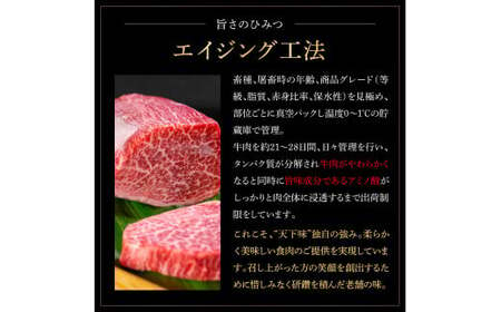 天下味 エイジング工法 熟成肉 土佐和牛 特選ロースブロック 300g エイジングビーフ ロース 牛 ブロック 国産 肉 牛肉 和牛 人気 老舗焼肉店 冷凍 食品 新鮮 真空パック 高級 お祝い 高知