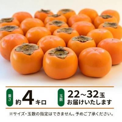 ふるさと納税 酒田市 庄内柿　約4kg(22〜32玉入) |  | 01
