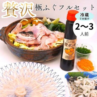 ふるさと納税 桂川町 冷蔵で完結!名店やますいの『贅沢』極ふぐフルセット 2〜3人前