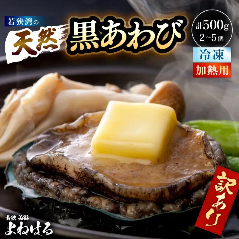 【訳あり】【天然・冷凍】日本海 若狭湾の黒アワビ 約500g（2～5個）【加熱用】【アワビ あわび】 [m17-b017]