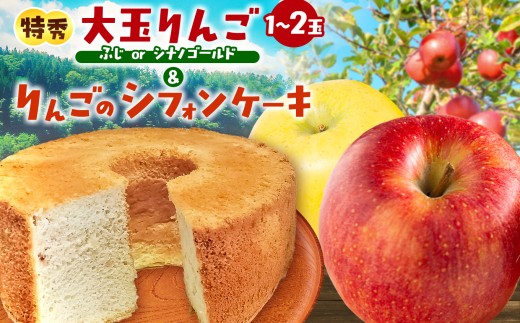 【2027年1月発送】 四季 こめのこ 米粉 りんご シフォンケーキ ＋ 最上等級 特秀 大玉リンゴ | お菓子 おかし 洋菓子 ケーキ おやつ しふぉんけーき お米 長野県 松川村 安曇野 信州