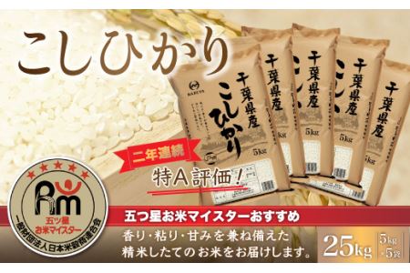 【新米】令和6年産 2年連続特A評価!千葉県産コシヒカリ25kg（5kg×5袋） E007