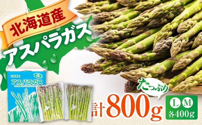 
                  【6月上旬以降順次発送】グリーンアスパラガス 800g （ L・Mサイズ 各400g）《喜茂別町》【Aコープようてい】 アスパラ アスパラガス 野菜 セット 詰め合わせ 北海道 採れたて 冷蔵配送 冷蔵 [AJAK002]
                