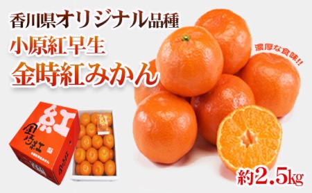 みかん 小原紅早生みかん 金時紅 香川県産 みかん【2.5kg】