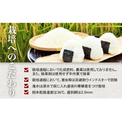 ふるさと納税 徳島市 令和7年産新米 ミルキークイーン 10kg【BU011】 |  | 02