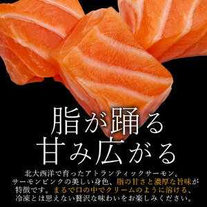 【ふるさと納税】 サーモン メルティーサーモン 300g アトランティックサーモン [ 小分け 刺身 鮭 冷凍 さけ サケ 海鮮 生サーモン 急速冷凍 魚 生食サーモン 人気 ランキング 三豊市 香川