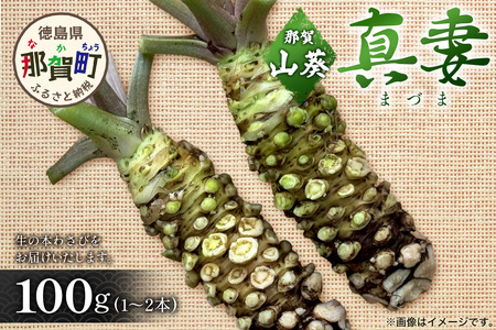 那賀わさび (真妻) 約100g 1～2本【徳島県 那賀町 生産者直送 産地直送 本わさび わさび ワサビ 生わさび 山葵 野菜 香味野菜 国産 真妻 薬味 調味料 万能 新鮮】FN-06