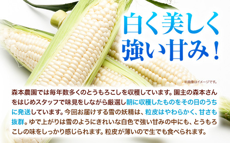 [1.3-78]　【令和6年発送先行受付】森本農園とうもろこし「雪の妖精」20本セット