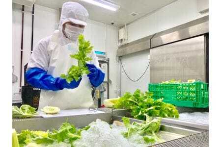 トキハソース　手みやげセット3本