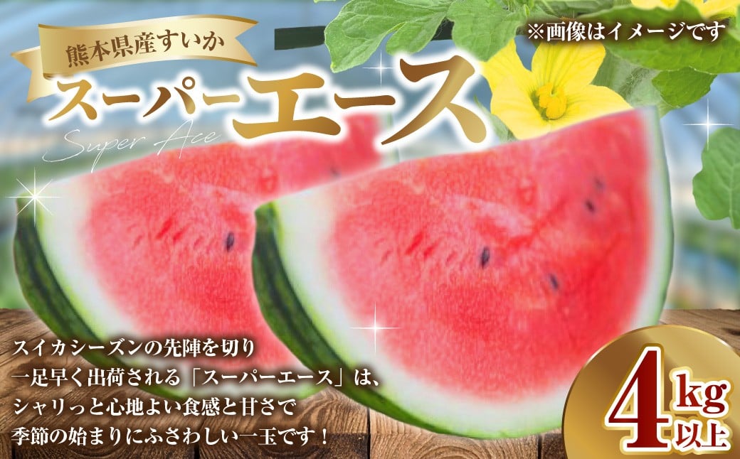 
            熊本県産 すいか スーパーエース 4kg以上 スイカ 西瓜 果物 くだもの フルーツ おすすめ ギフト 贈り物 【2026年3月上旬発送開始】
          