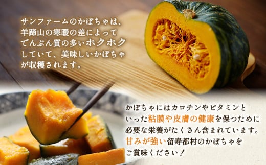 かぼちゃ 10kg（5～8玉）