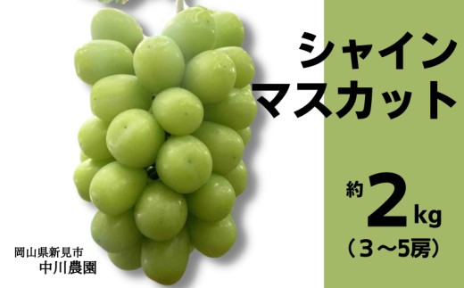 
            中川農園 シャインマスカット 約2kg 3～5房 【先行予約 2026年10月上旬から順次発送】
          