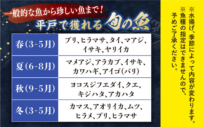 【全6回定期便】【平戸市場直送】旬の獲れたて鮮魚（冷凍）＜4〜5種類＞ 平戸市 / ひらど新鮮市場 [KAB229]