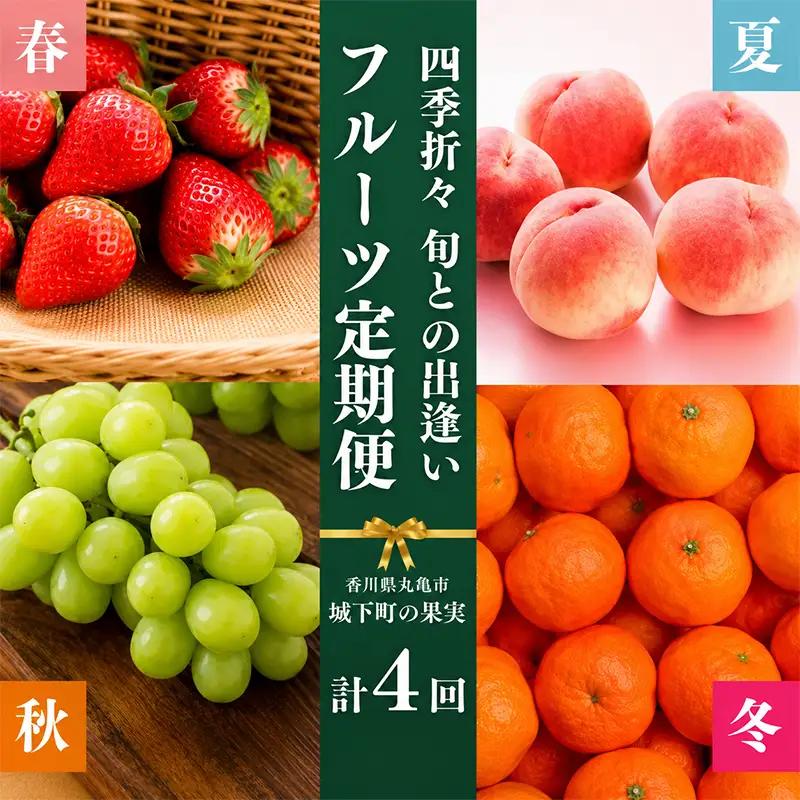 フルーツ 定期便 4回 いちご 桃 シャインマスカット みかん 果物