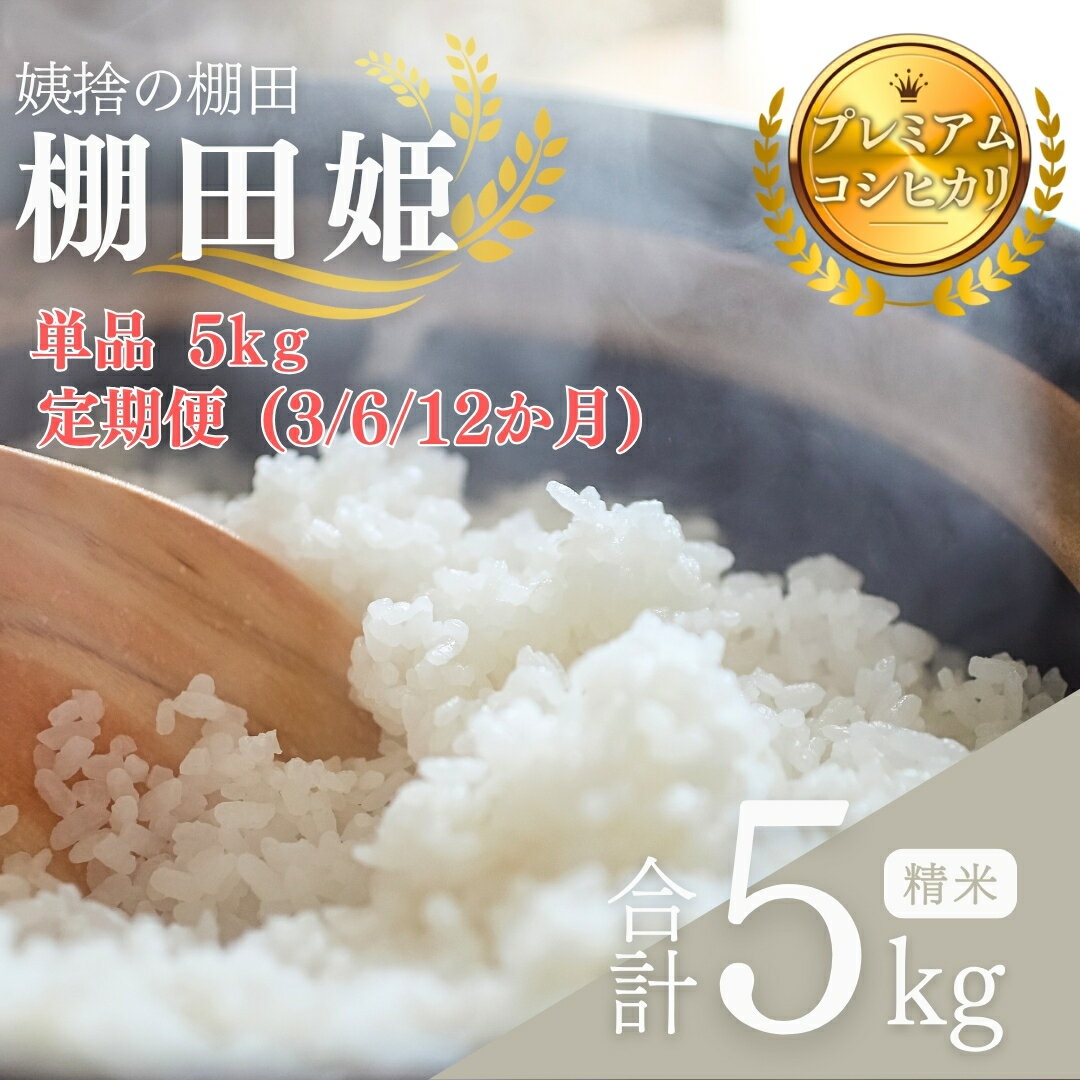 【ふるさと納税】【令和7年産新米予約】姨捨 の 棚田 プレミアム コシヒカリ 「 棚田姫 」 5kg 選べる 単品 定期 3カ月 6カ月 12カ月 モリ電子 米 白米 精米 棚田米 長野県 千曲市