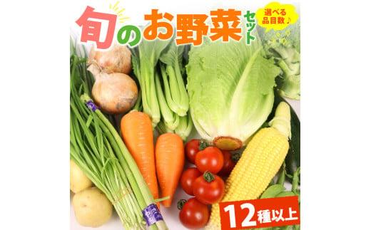 野菜 セット 12品目 以上 お野菜 季節 野菜 旬 新鮮 産地直送 詰め合わせ やさい おいしい 自然 セット 美味しい たっぷり 丸新柴本製茶 静岡県 牧之原市