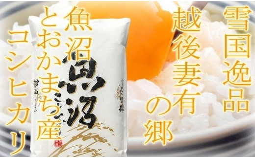 【令和8年産 先行予約】●定期便●【雪国逸品5kg×3ヶ月】 越後妻有の郷 魚沼十日町産コシヒカリ お米 精米 白米 良質 ミネラル 極上 新鮮 香り つや 粘り