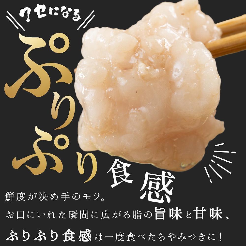 ※受付停止※濃厚もつ鍋4人前セット濃縮醤油スープ付 大川市