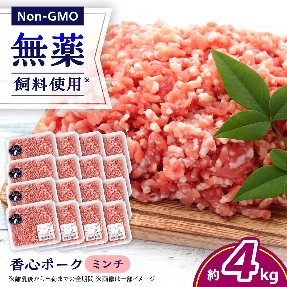 【ふるさと納税】『香心ポーク』ミンチ 約250g×16パック（計約4kg）豚肉 冷凍 熊本県産 【有限会社 コーシン】 豚肉 豚 ポーク ミンチ 挽肉 熊本 熊本県 九州 大容量 冷凍 小分け パック ハンバーグ 餃子 ギョーザ 肉団子 ミートソース ぶたにく にく 肉 [AYCK012]