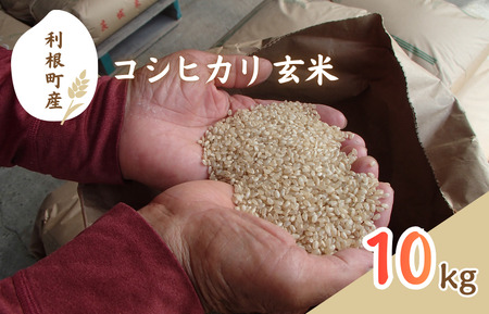 利根町産　コシヒカリ　玄米　10kg ／ 米 こめ コメ お米 おこめ コシヒカリ こしひかり 令和7年産 玄米 ごはん ご飯 10kg 健康志向 茨城県 利根町 産地直送 送料無料