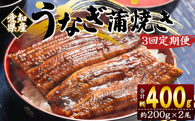 【３回定期便】国産養殖うなぎ蒲焼き 約200g×2尾(愛知県産鰻) Wfb-0074